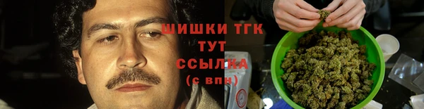apvp Надым